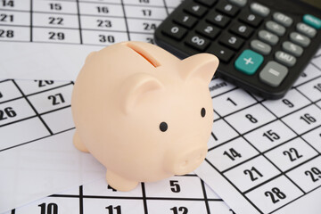 Saving money concept. Pink piggy bank on calendar pages with calculator.