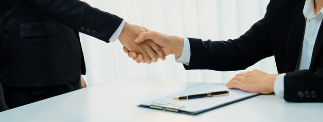 Two business executive shake hand in boardroom, sealing agreement merging two company. Handshake...