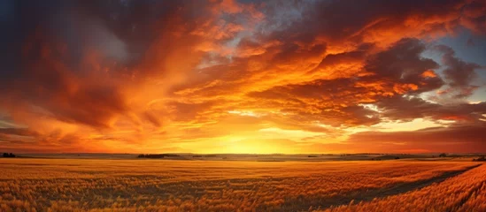 Foto op Plexiglas Autumnal sunset in prairies - vibrant sunset with orange sun, dark cloudy sky, and harvested fields. © AkuAku