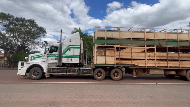Road train transporting livestock cattle in Queensland Australia