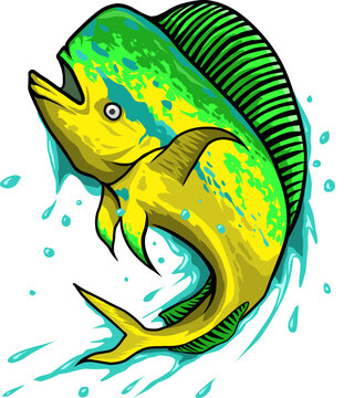 Mahi Mahi Dorado fish jumping