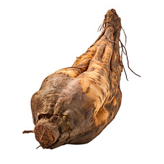 front view of a spoil rotten yam vegetable isolated on a white transparent background 