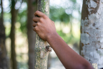A man is holding a tree branch with his hands and blurred background