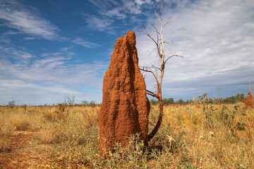 Termite mound in Australian Outback. - Powered by Adobe