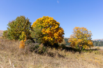 autumn day, mountainous terrain , panorama of the terrain and riverbed walks in the bosom of nature