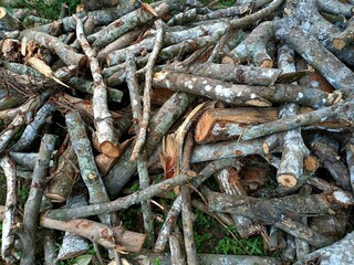 Firewood is any wooden material that is gathered and used for fuel. 