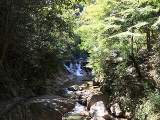 滝