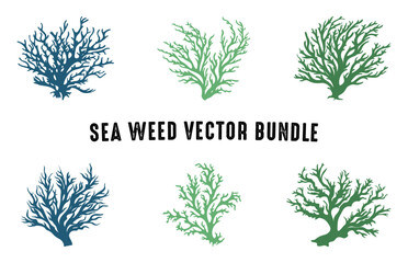 Colored seaweed vector Set, Seaweed silhouette Collection, Sea coral silhouettes clipart bundle