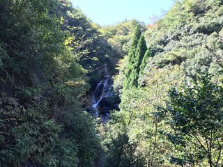 滝