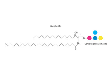 Obraz premium Diagram showing schematic molecular structure of Ganglioside Scientific vector illustration.