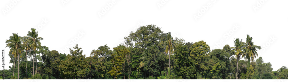 Poster A group of rich green trees High resolution on transparent background.