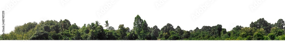 Poster a group of rich green trees high resolution on transparent background.
