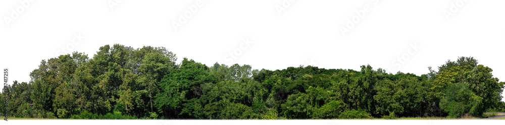Aufkleber a group of rich green trees high resolution on transparent background.