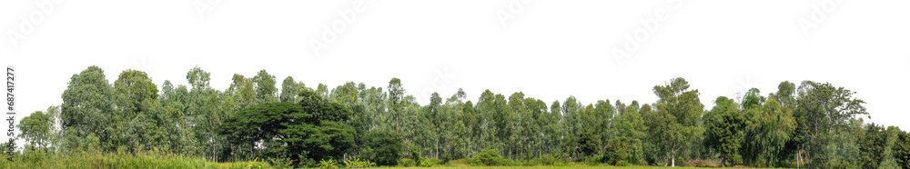 Aufkleber a group of rich green trees high resolution on transparent background.