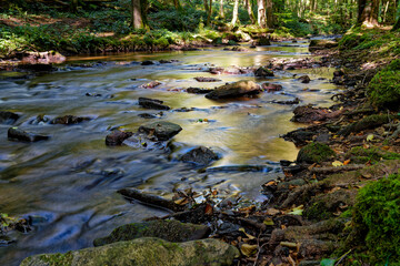  Der Flusslauf der Thulba in der Kernzone des Biosphärenreservats Rhön zwischen Oberthulba und Thulba, Landkreis Bad Kissingen, Unterfranken, Franken, Bayern, Deutschland