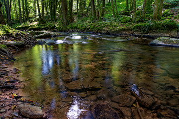  Der Flusslauf der Thulba in der Kernzone des Biosphärenreservats Rhön zwischen Oberthulba und Thulba, Landkreis Bad Kissingen, Unterfranken, Franken, Bayern, Deutschland
