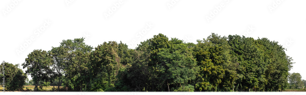 Aufkleber a group of rich green trees high resolution on transparent background.