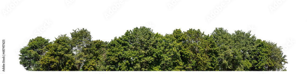 Aufkleber A group of rich green trees High resolution on transparent background.