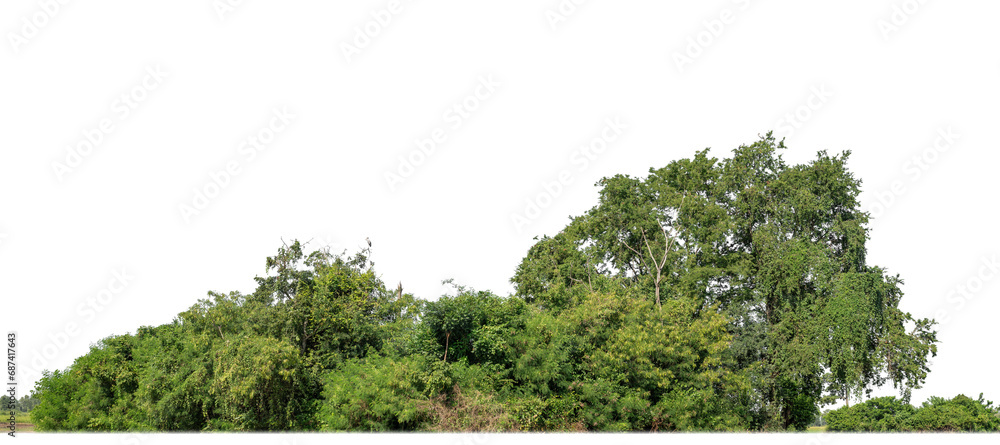 Aufkleber a group of rich green trees high resolution on transparent background.