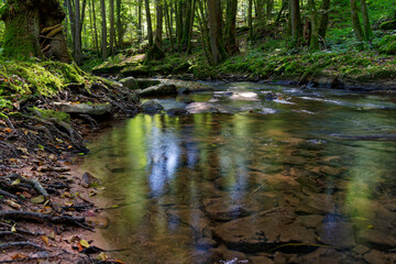  Der Flusslauf der Thulba in der Kernzone des Biosphärenreservats Rhön zwischen Oberthulba und Thulba, Landkreis Bad Kissingen, Unterfranken, Franken, Bayern, Deutschland
