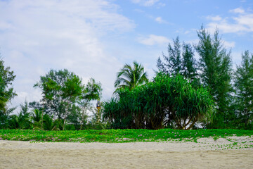 Fototapeta premium Thailand Phuket island lagoon area. nature and houses, beach and sea