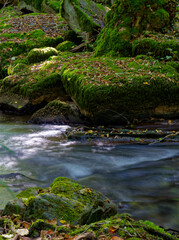  Der Flusslauf der Thulba in der Kernzone des Biosphärenreservats Rhön zwischen Oberthulba und Thulba, Landkreis Bad Kissingen, Unterfranken, Franken, Bayern, Deutschland