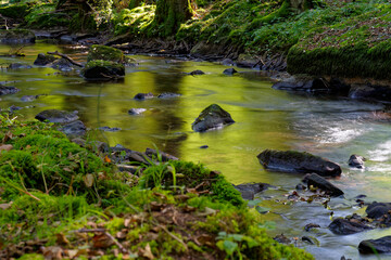  Der Flusslauf der Thulba in der Kernzone des Biosphärenreservats Rhön zwischen Oberthulba und Thulba, Landkreis Bad Kissingen, Unterfranken, Franken, Bayern, Deutschland
