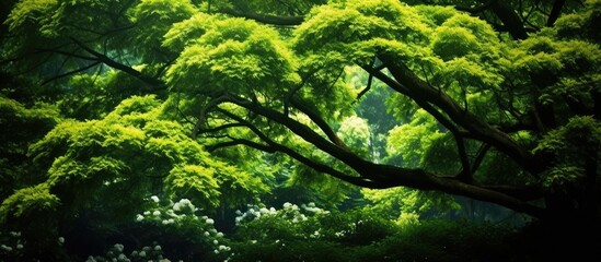 Fototapeta premium lush green forest, a vibrant tree stands tall, its leaves displaying an abstract pattern resembling the texture of a tropical plant. Against the backdrop of a colorful summer garden, this natural