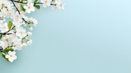 spring border background with white blossom copy space.