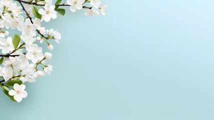 Fotobehang spring border background with white blossom copy space. © Sagar