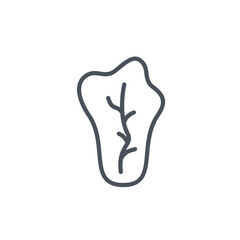Vector sign of the lettuce symbol isolated on a white background. icon color editable.