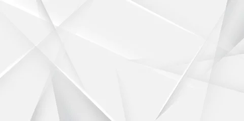 Foto auf Acrylglas Abstract white and grey background .Minimal geometric white light background .Abstract white and grey on light silver background modern design used about technology or product presentation backdrop. © Kainat 