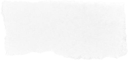 White Torn Paper