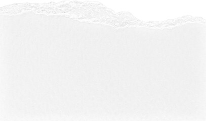 White Torn Paper
