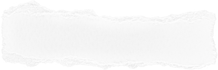 White Ripped Paper