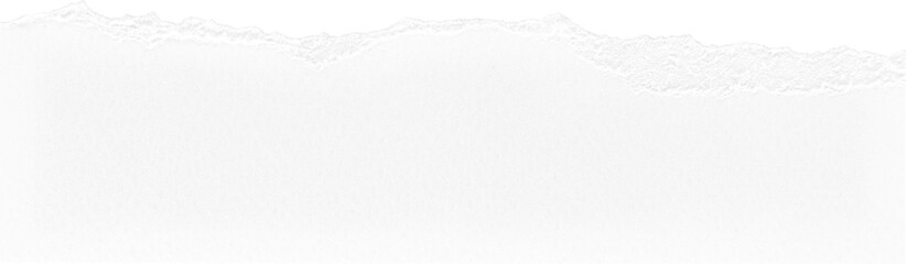 Obraz premium White Ripped Paper