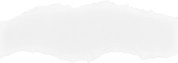 White Ripped Paper