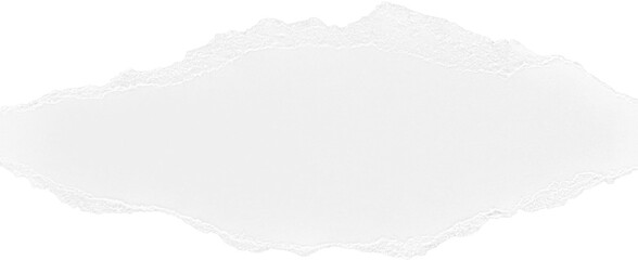 White Ripped Paper