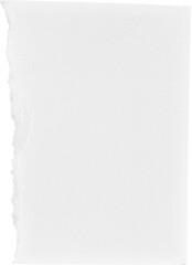 White Ripped Paper