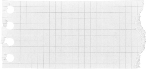 White Ripped Paper