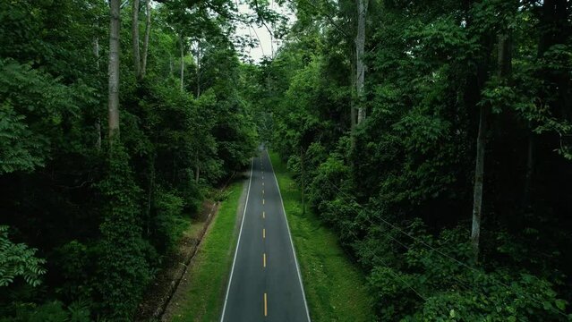 Establish aerial view of straight highway surrounded by forest