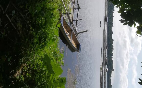 Boat anchored at the side of the lake covered with algal blooms and invasive aquatic plants. Vertical