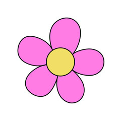 Flower daisy