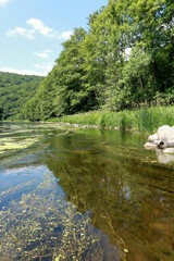 Fototapeta premium nature surrounding the river Semois in Belgium