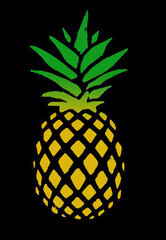 Colorful Pineapple Original