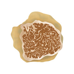 The White Truffle - Tuber Magnatum Pico, Illustration cartoon design.
