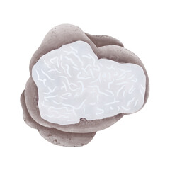 TUBER GENNADII (Chatin) Patouillard truffle mushrooms, Illustration cartoon design.