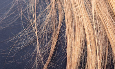 Highlighted women's hair as a background. Texture