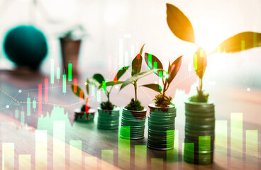 Growing young tree seedling planted on top of coin stack with ESG business investment with...