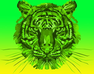 Green Tiger on Green and Yellow Background